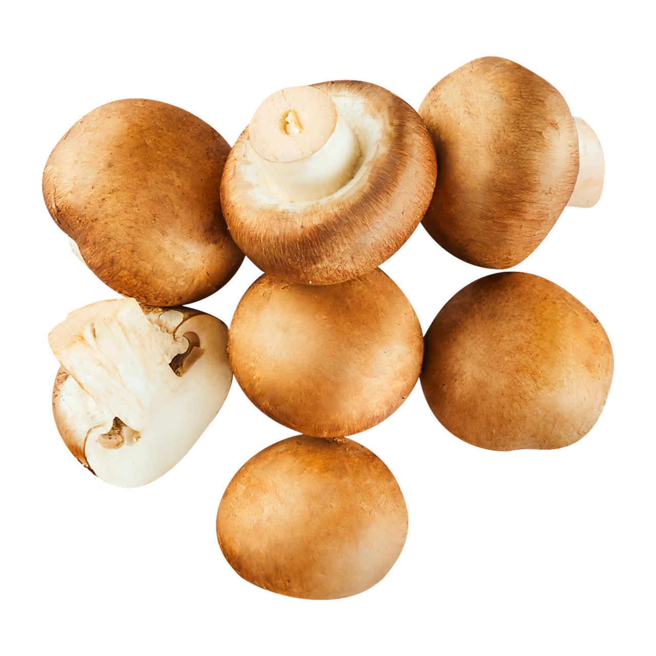 Kulturchampignons braun