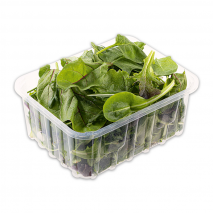 Bio Sonne Bio-Salat sortiert
