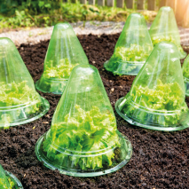 Powertec Garden Pflanzhut 10er-Set